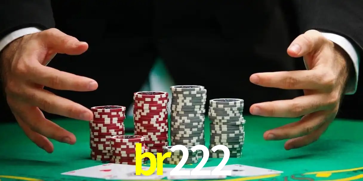 br222 Aplicativo - br222 visual 2